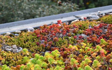 the cost of Gleann Dail Bho Tuath green roof installation