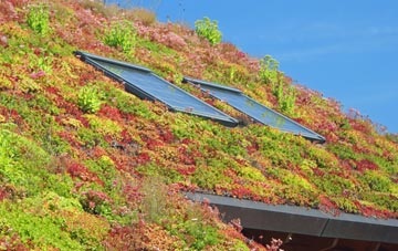 Gleann Dail Bho Tuath living roof systems