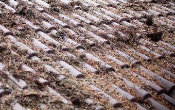 Gleann Dail Bho Tuath roof cleaning companies