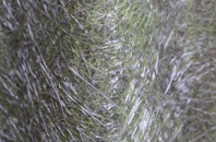 Gleann Dail Bho Tuath fibreglass roof work